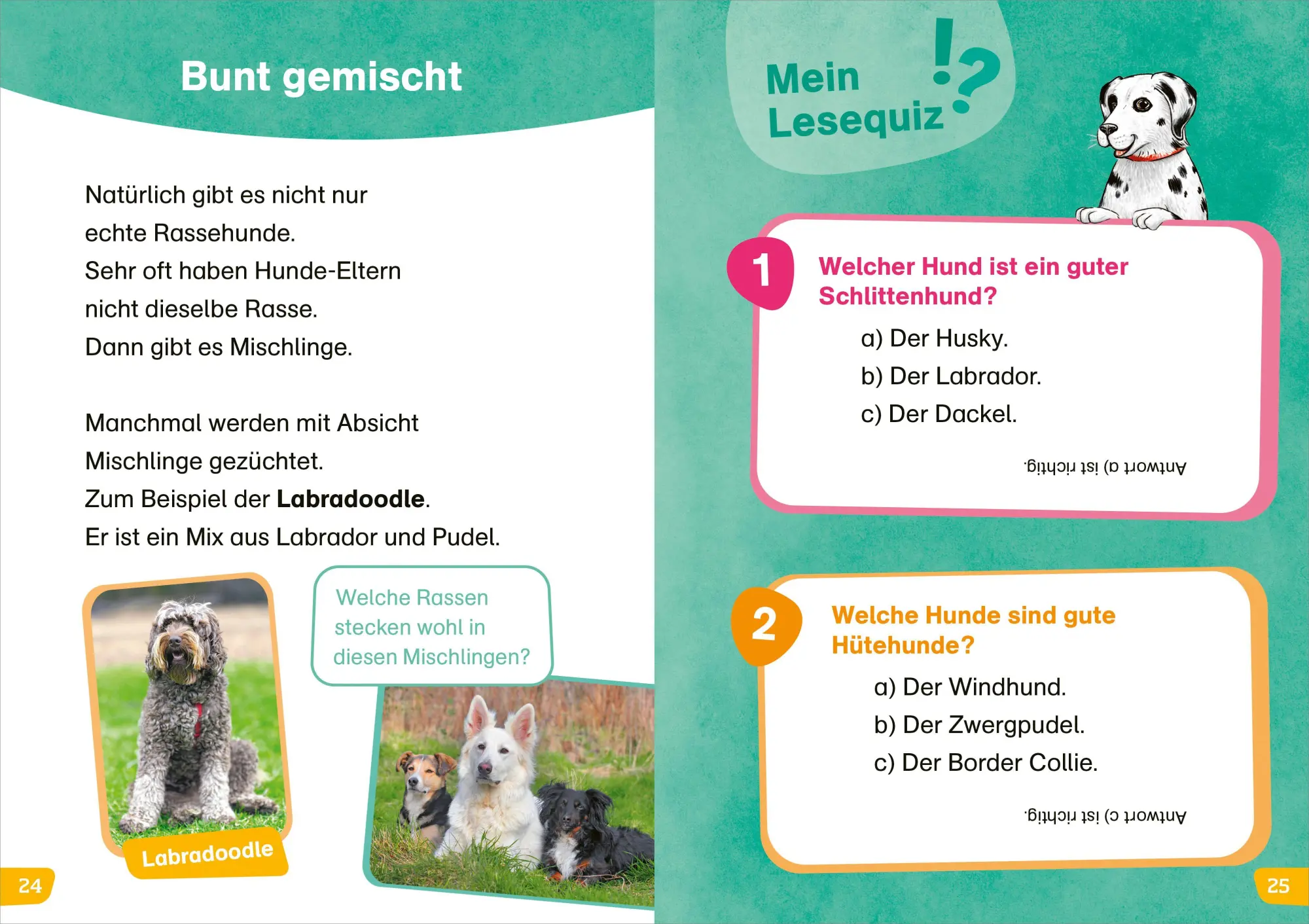 Bild: 9783788681579 | WAS IST WAS Erstes Lesen easy! Hunde - meine Lieblingstiere | Buch