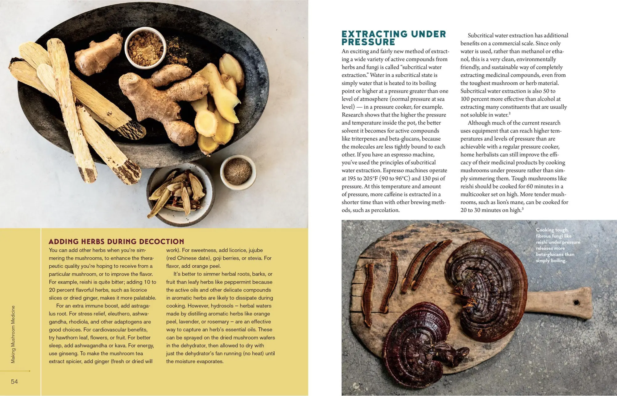 Bild: 9781635861679 | Christopher Hobbs's Medicinal Mushrooms: The Essential Guide | Hobbs