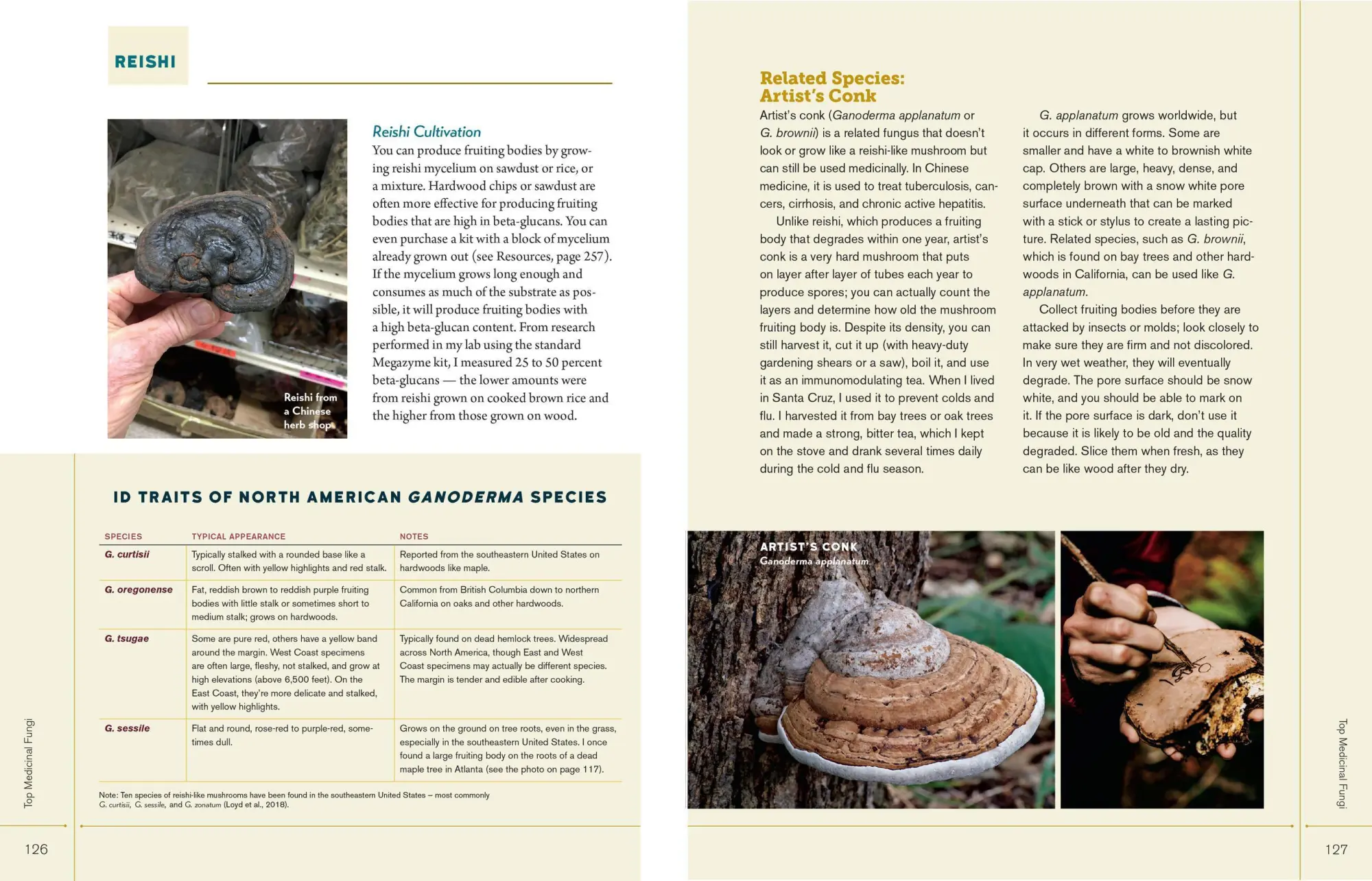 Bild: 9781635861679 | Christopher Hobbs's Medicinal Mushrooms: The Essential Guide | Hobbs