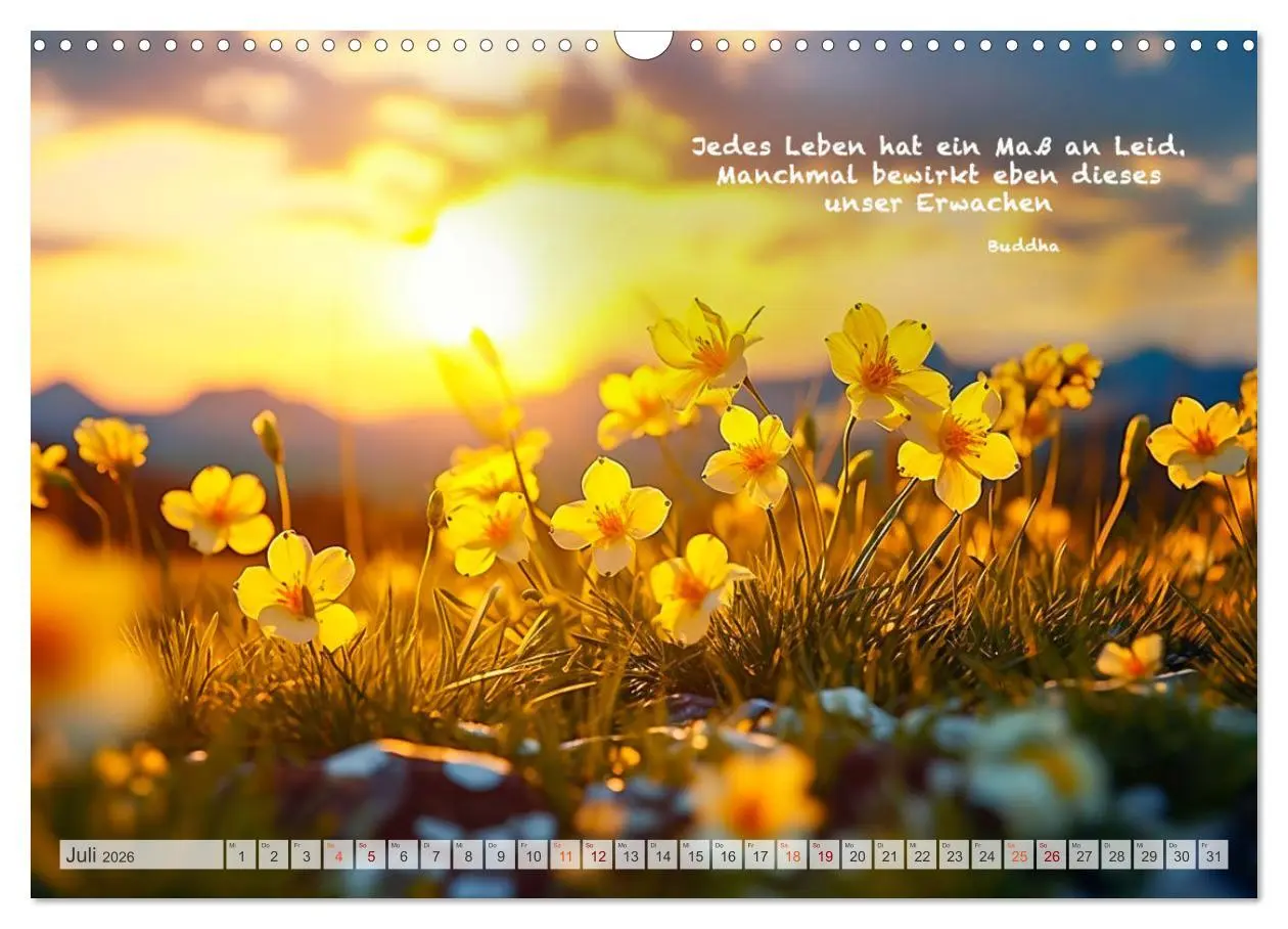 Bild: 9783457531679 | Meditation und innerer Frieden (Wandkalender 2026 DIN A3 quer),...