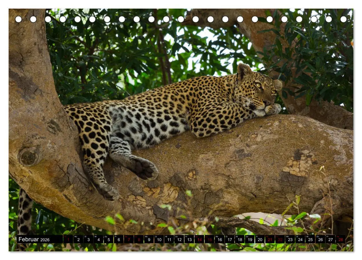 Bild: 9783457841679 | Tansania - Tierwanderung in der Serengeti (Tischkalender 2026 DIN...