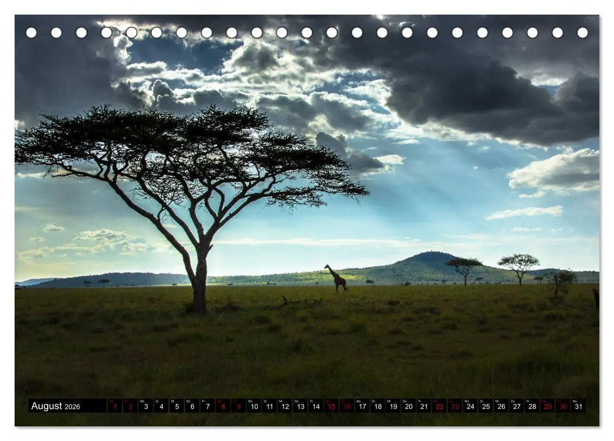 Bild: 9783457841679 | Tansania - Tierwanderung in der Serengeti (Tischkalender 2026 DIN...