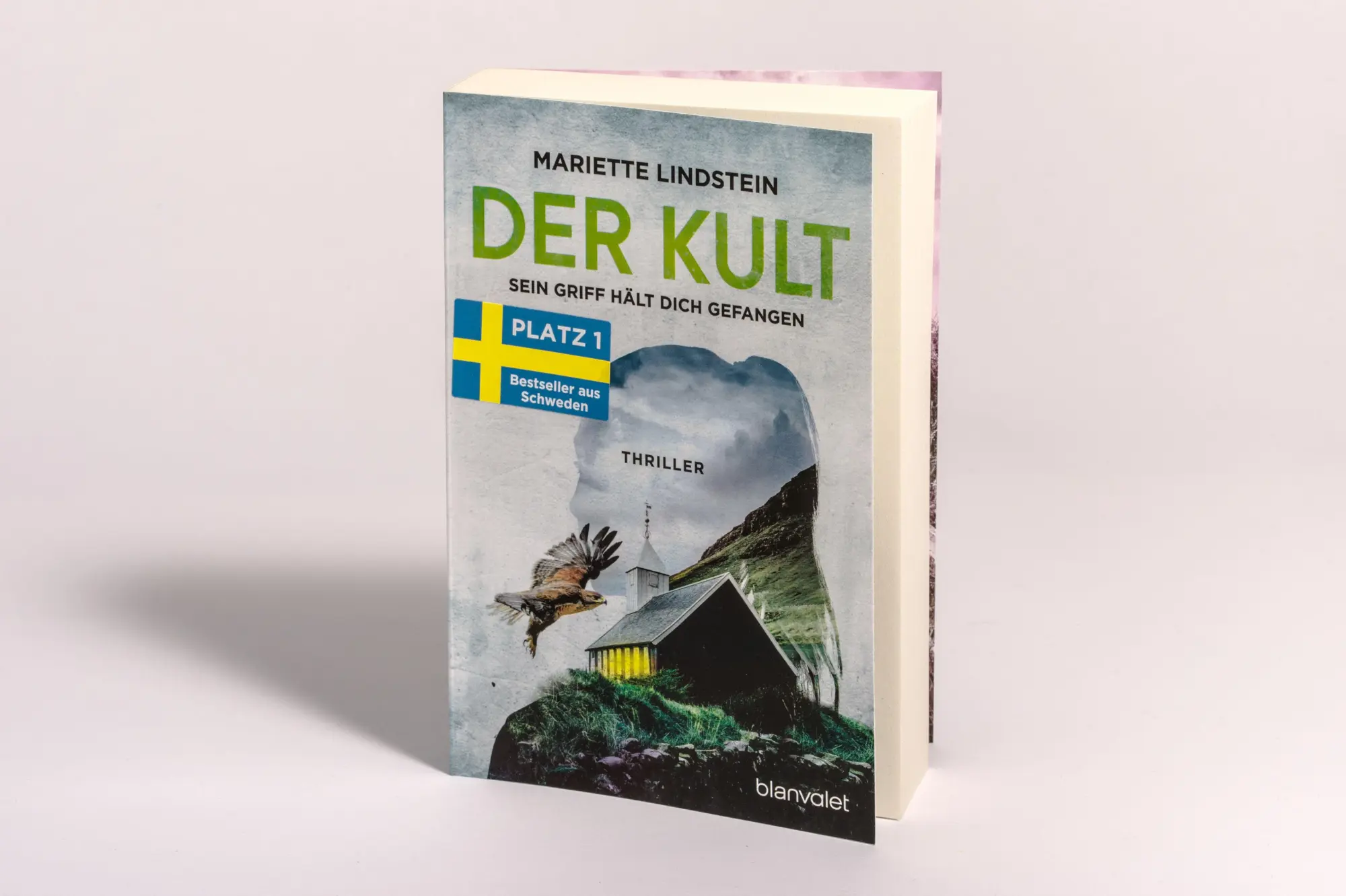 Bild: 9783734111679 | Der Kult - Sein Griff hält dich gefangen | Thriller | Lindstein | Buch