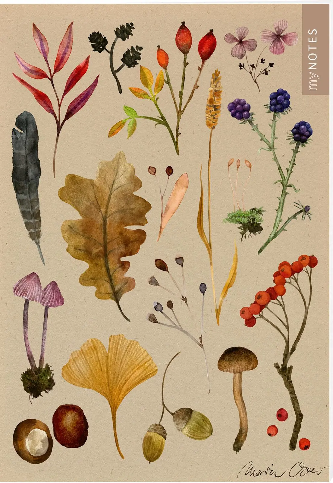 Cover: 4014489131779 | myNOTES Papeterie: Notizheft Naturschätze | Bunte Herbstblätter | Over