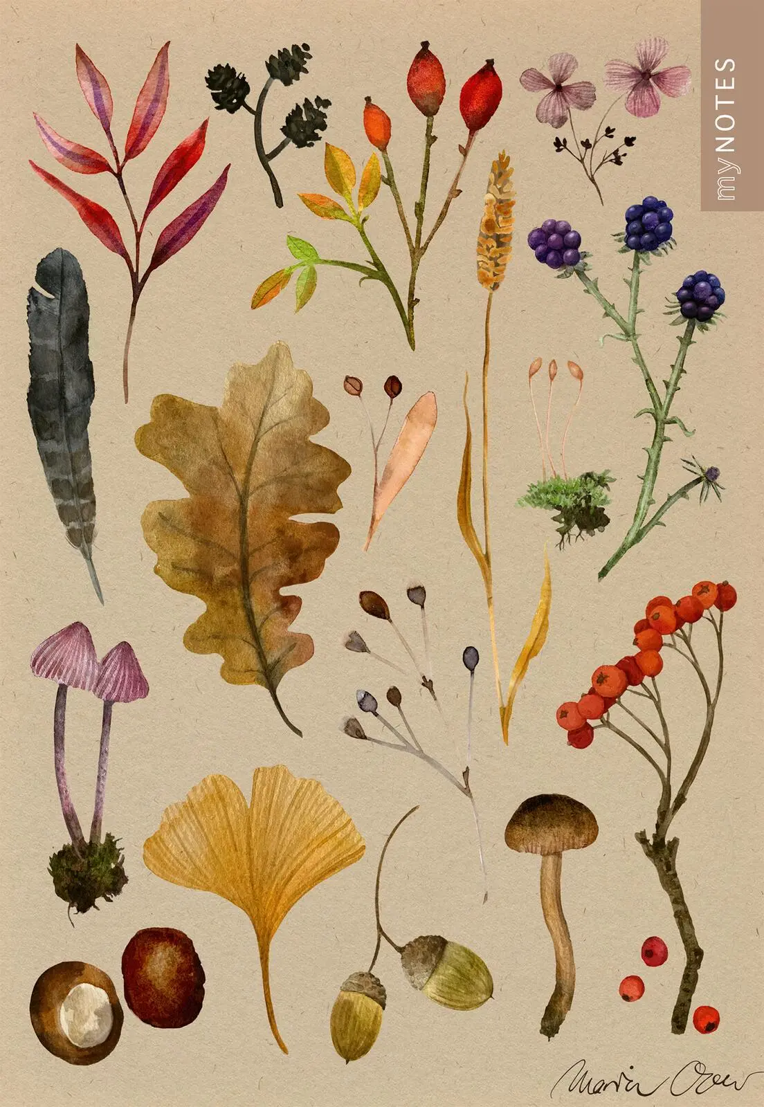 Bild: 4014489131779 | myNOTES Papeterie: Notizheft Naturschätze | Bunte Herbstblätter | Over