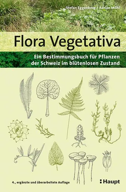 Cover: 9783258081779 | Flora Vegetativa | Stefan Eggenberg (u. a.) | Taschenbuch | 768 S.
