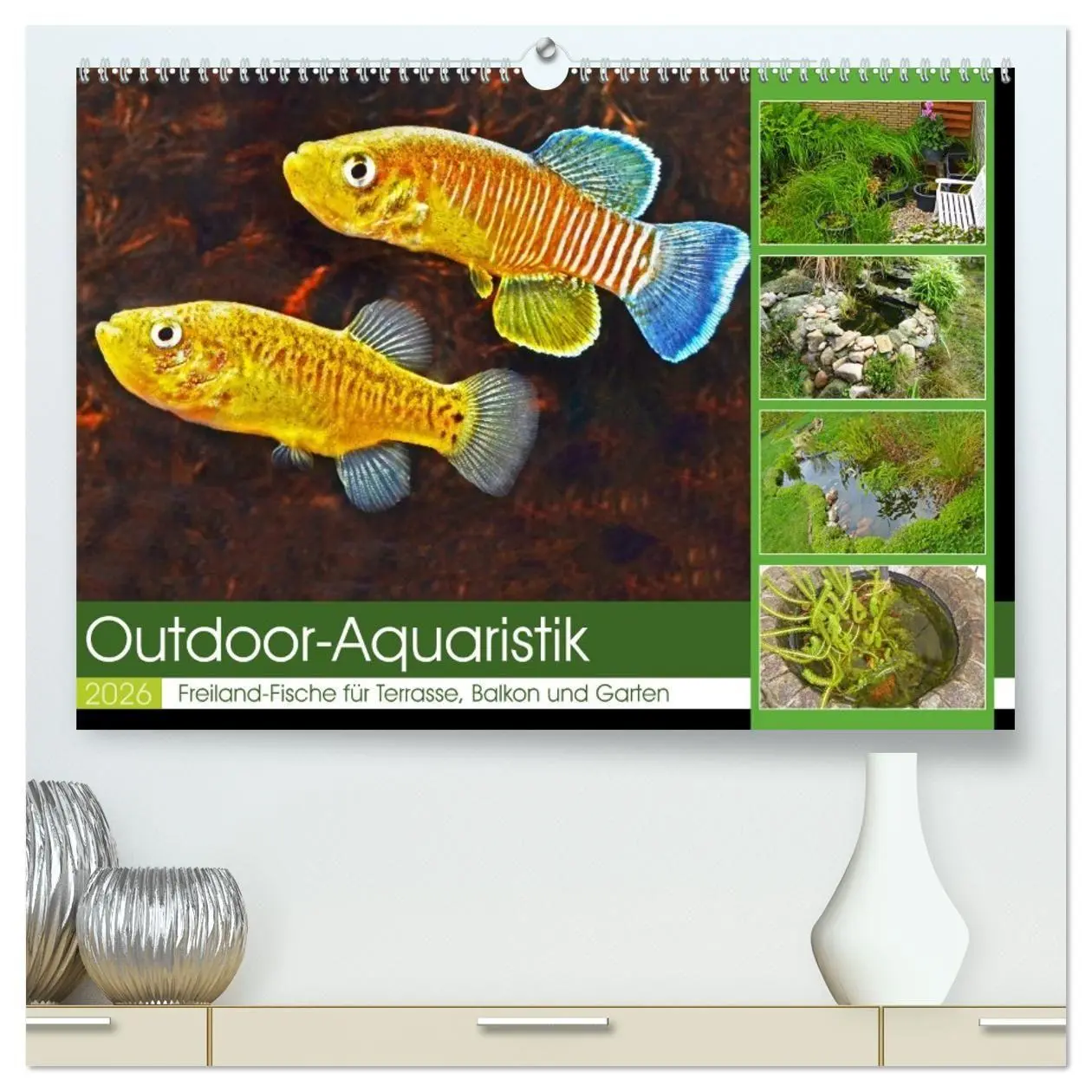 Cover: 9783457381779 | Outdoor-Aquaristik (hochwertiger Premium Wandkalender 2026 DIN A2...