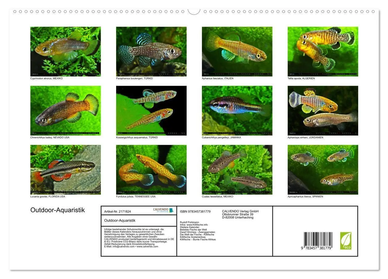 Bild: 9783457381779 | Outdoor-Aquaristik (hochwertiger Premium Wandkalender 2026 DIN A2...