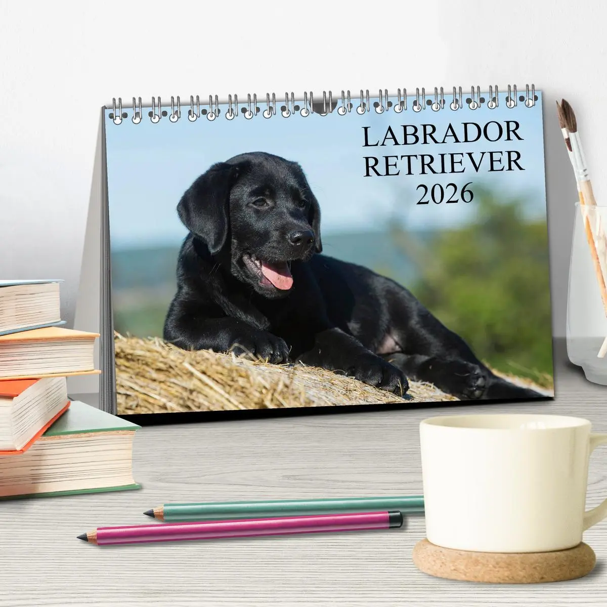 Bild: 9783516161779 | Labrador Retriever 2026 (Tischkalender 2026 DIN A5 quer), CALVENDO...