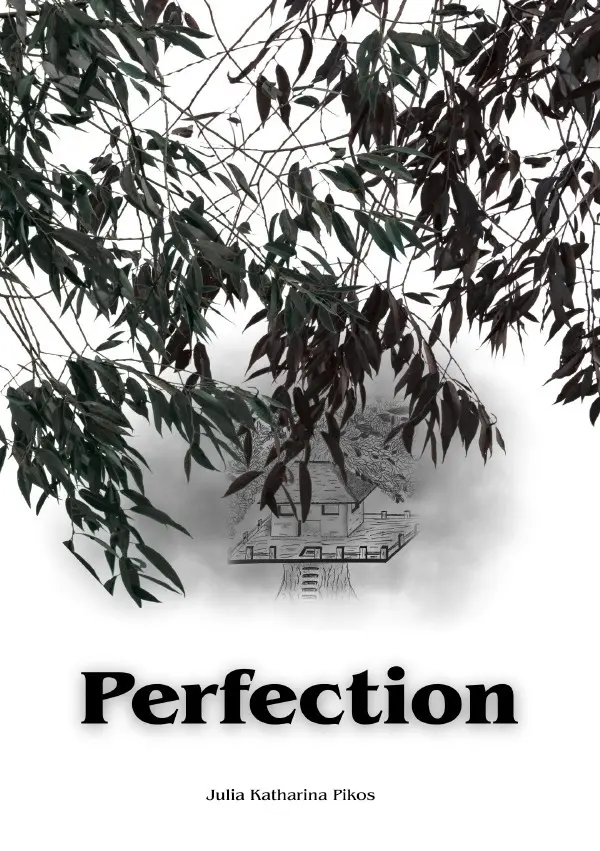 Cover: 9783565431779 | Perfection | DE | Julia Katharina Pikos | Taschenbuch | 216 S. | 2026