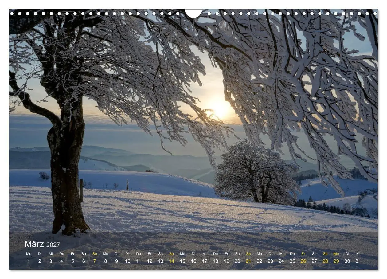Bild: 9783569011779 | Faszination Schwarzwald (Wandkalender 2027 DIN A3 quer), CALVENDO...