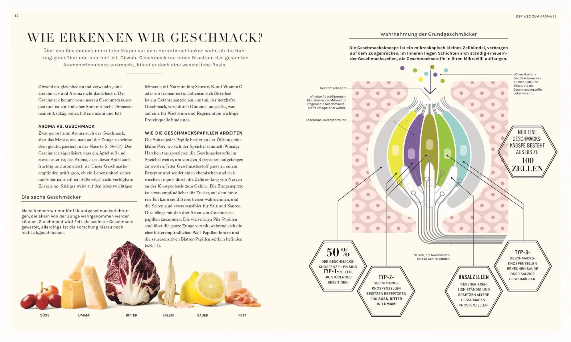 Bild: 9783831051779 | So funktioniert Geschmack | Stuart Farrimond | Taschenbuch | 224 S.