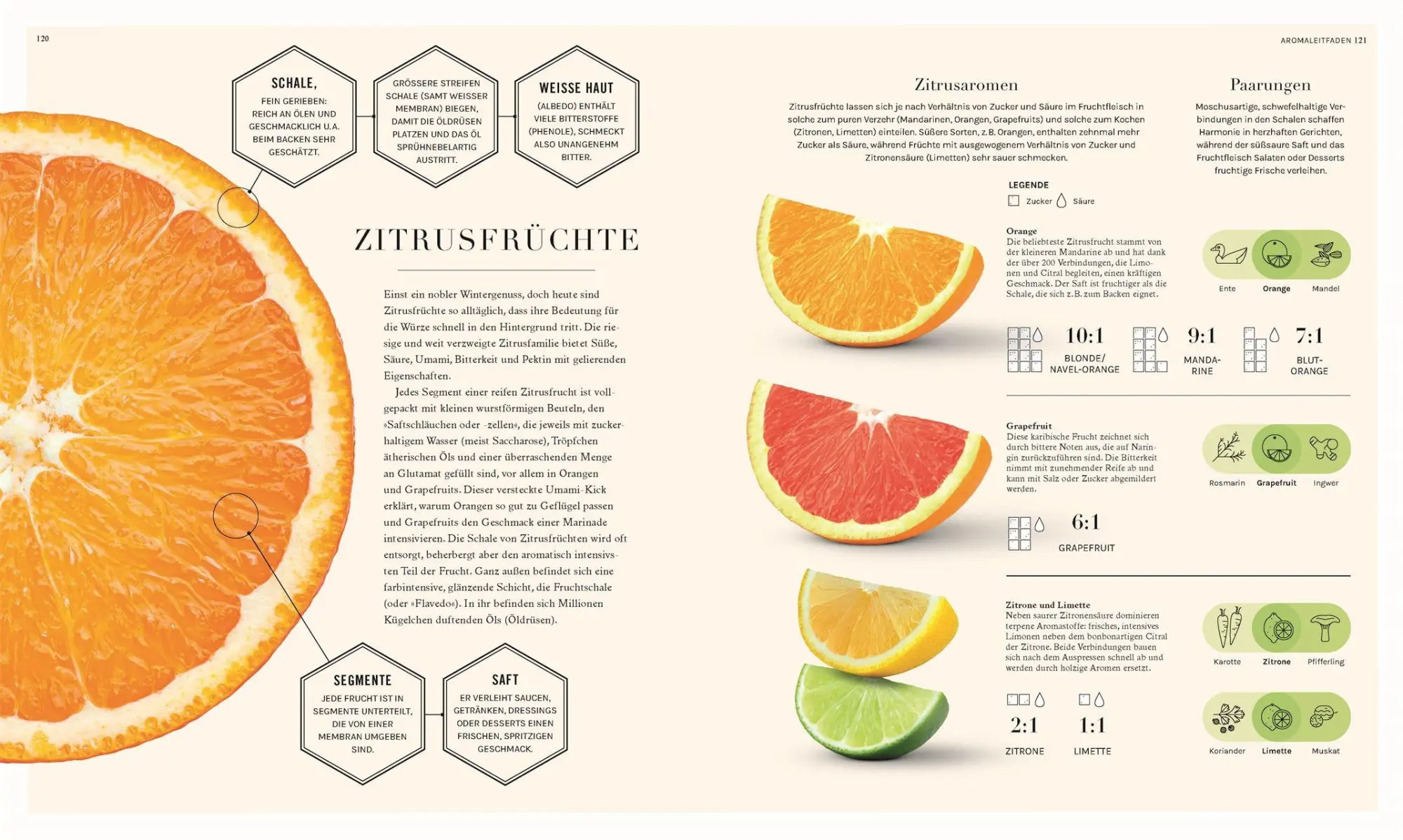 Bild: 9783831051779 | So funktioniert Geschmack | Stuart Farrimond | Taschenbuch | 224 S.