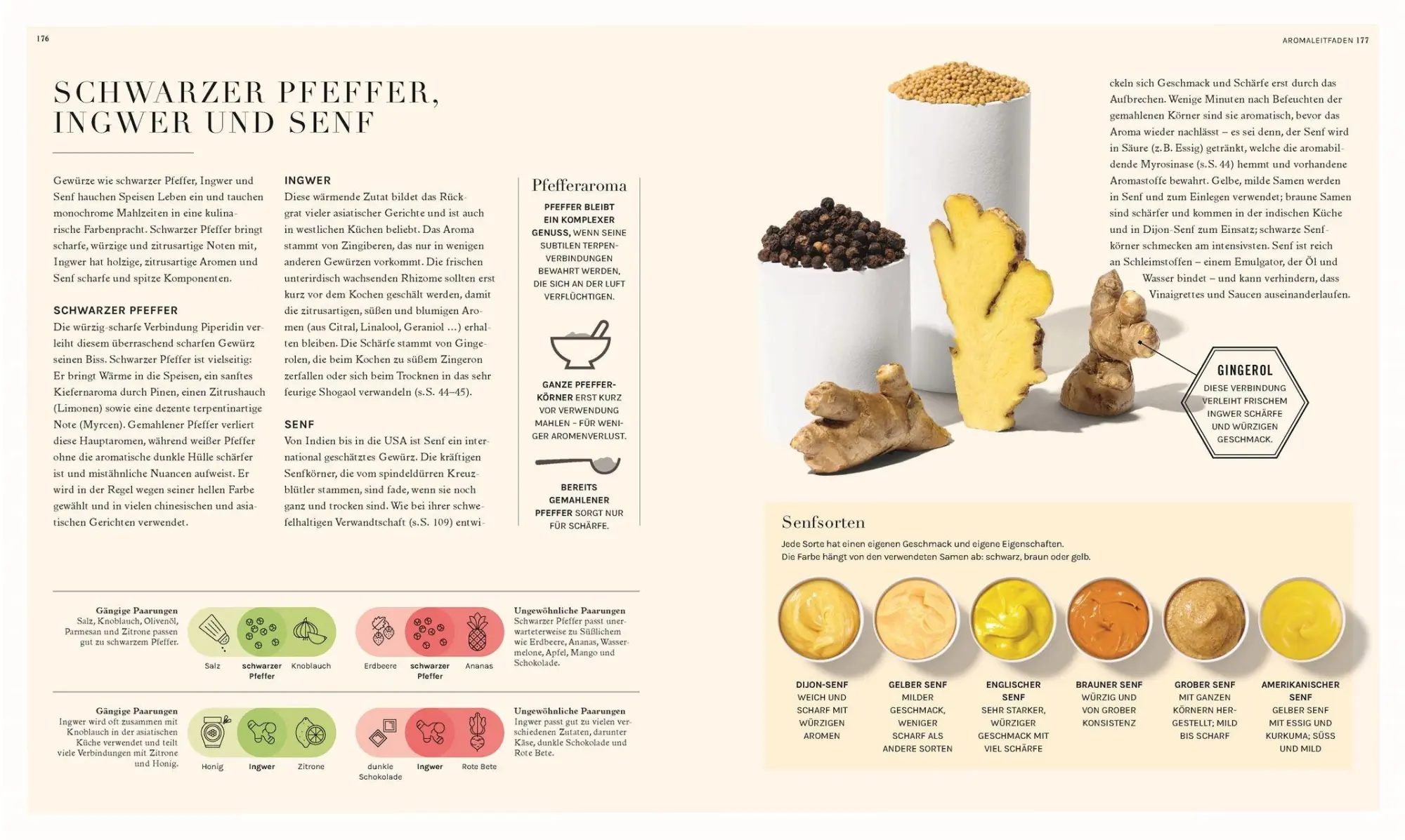 Bild: 9783831051779 | So funktioniert Geschmack | Stuart Farrimond | Taschenbuch | 224 S.