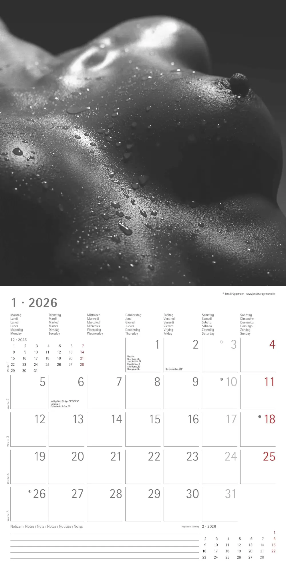 Bild: 4069095001879 | Feminine 2026 - Broschürenkalender 30x30 cm (30x60 geöffnet) -...