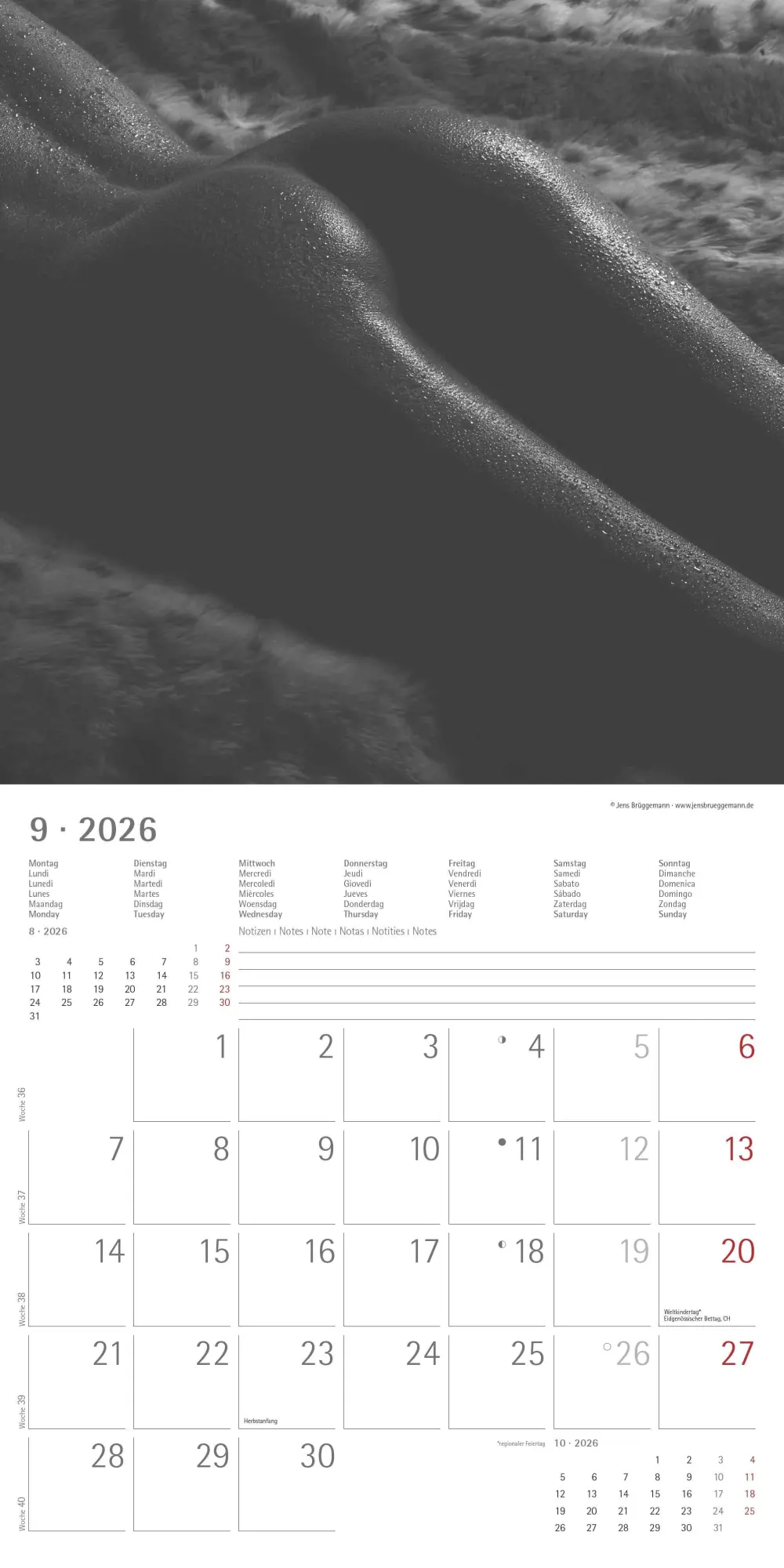 Bild: 4069095001879 | Feminine 2026 - Broschürenkalender 30x30 cm (30x60 geöffnet) -...