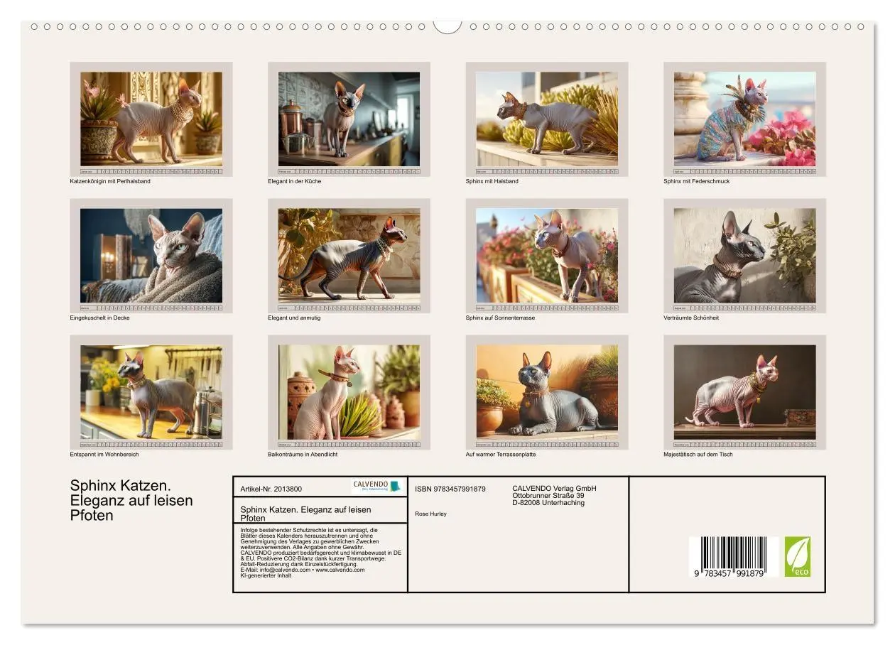 Bild: 9783457991879 | Sphinx Katzen. Eleganz auf leisen Pfoten (hochwertiger Premium...