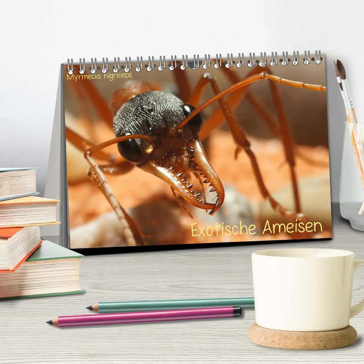Bild: 9783516151879 | Exotische Ameisen (Tischkalender 2026 DIN A5 quer), CALVENDO...