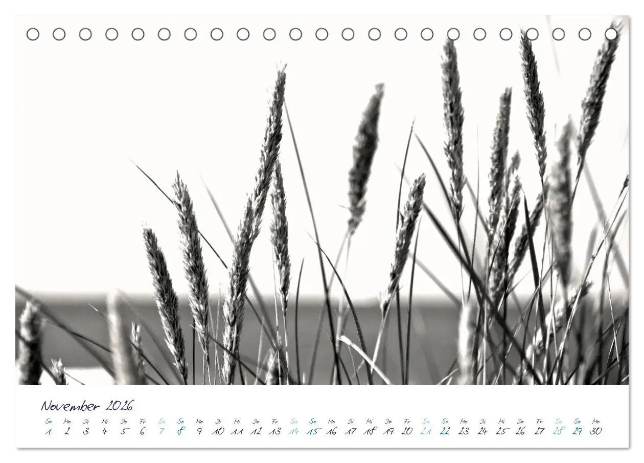 Bild: 9783516221879 | Meeresbilder - Nordsee-Impressionen (Tischkalender 2026 DIN A5...