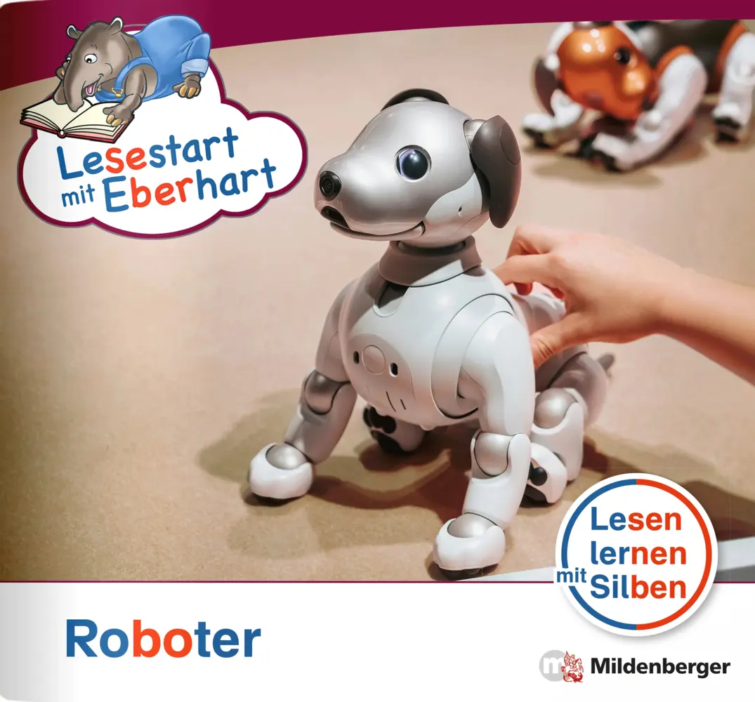 Cover: 9783619041879 | Lesestart mit Eberhart: Roboter | Nicole Brandau (u. a.) | Broschüre