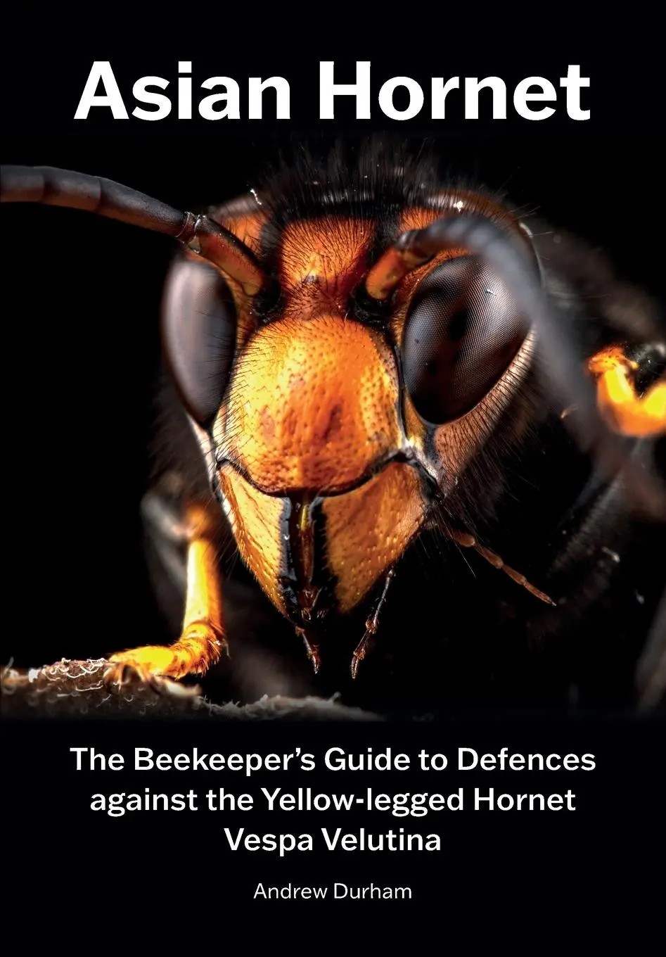 Cover: 9781912271979 | Asian Hornet The Beekeeper's Guide to Defences against the...