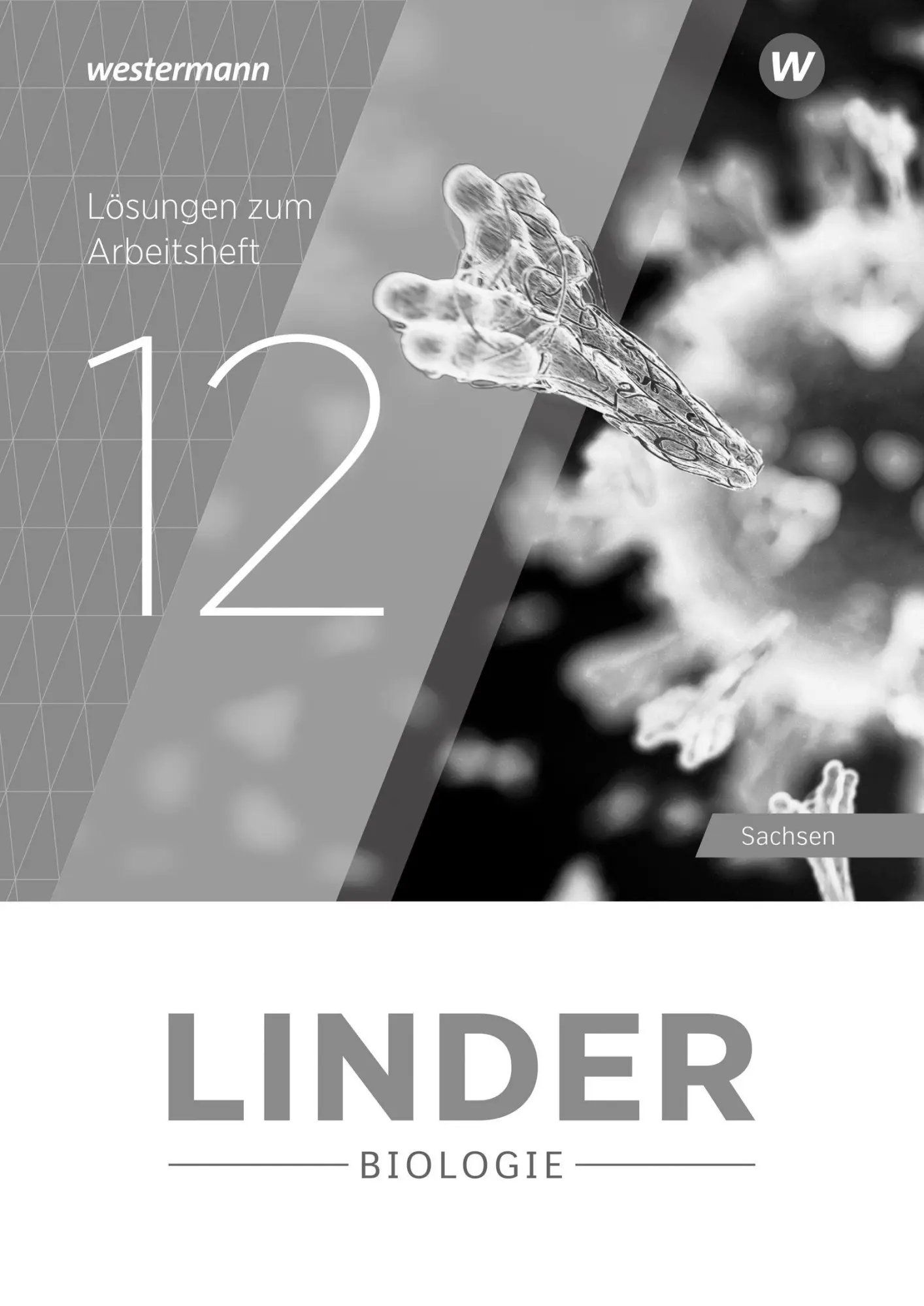 Cover: 9783141521979 | LINDER Biologie SII. Lösungen zum Arbeitsheft 12. Für Sachsen | 48 S.