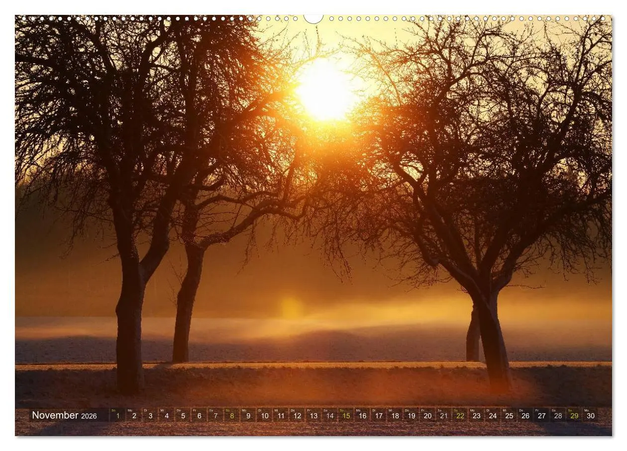 Bild: 9783516141979 | Bäume (hochwertiger Premium Wandkalender 2026 DIN A2 quer),...