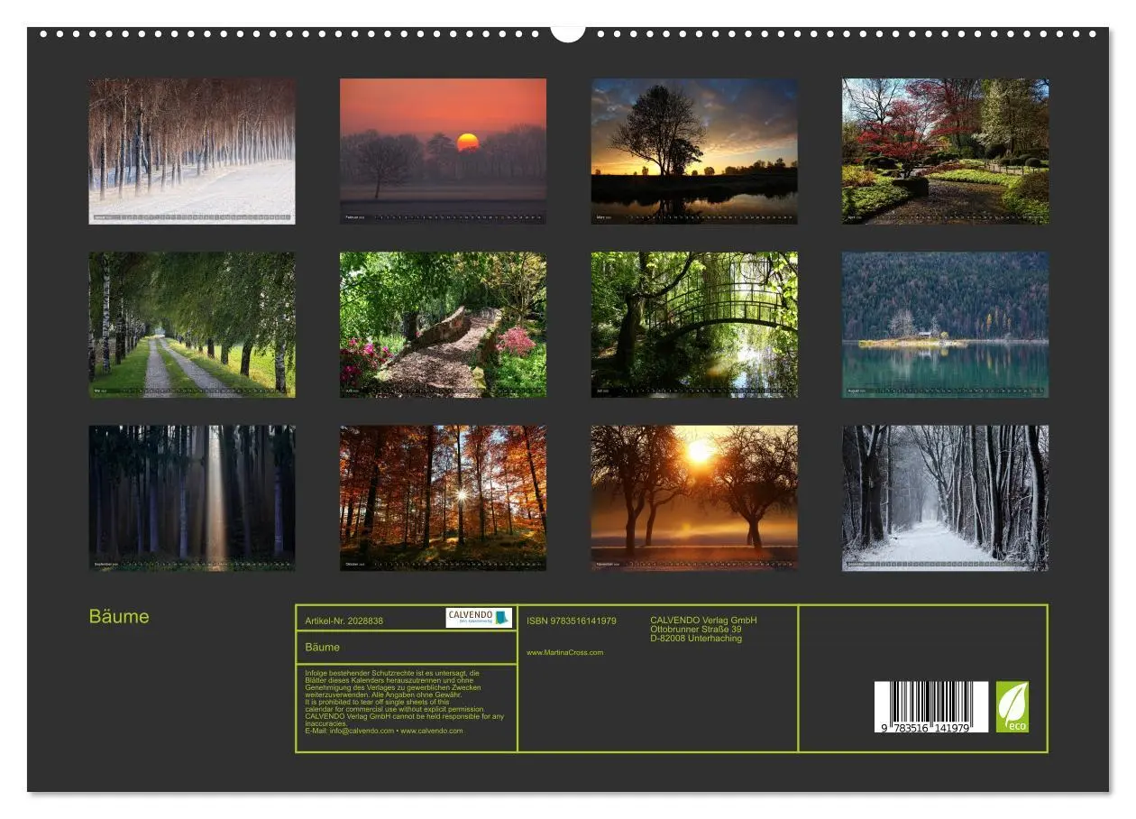 Bild: 9783516141979 | Bäume (hochwertiger Premium Wandkalender 2026 DIN A2 quer),...