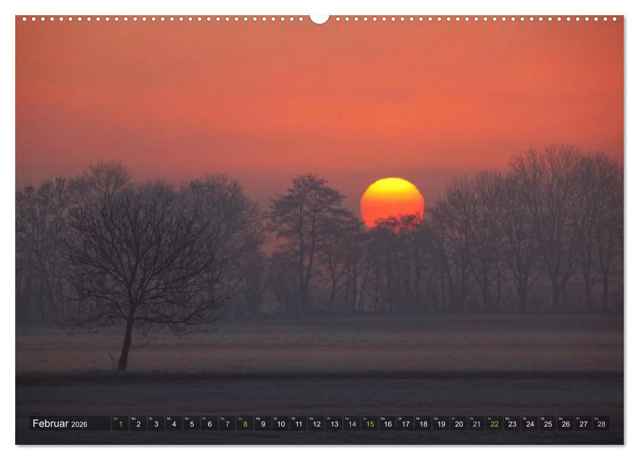 Bild: 9783516141979 | Bäume (hochwertiger Premium Wandkalender 2026 DIN A2 quer),...