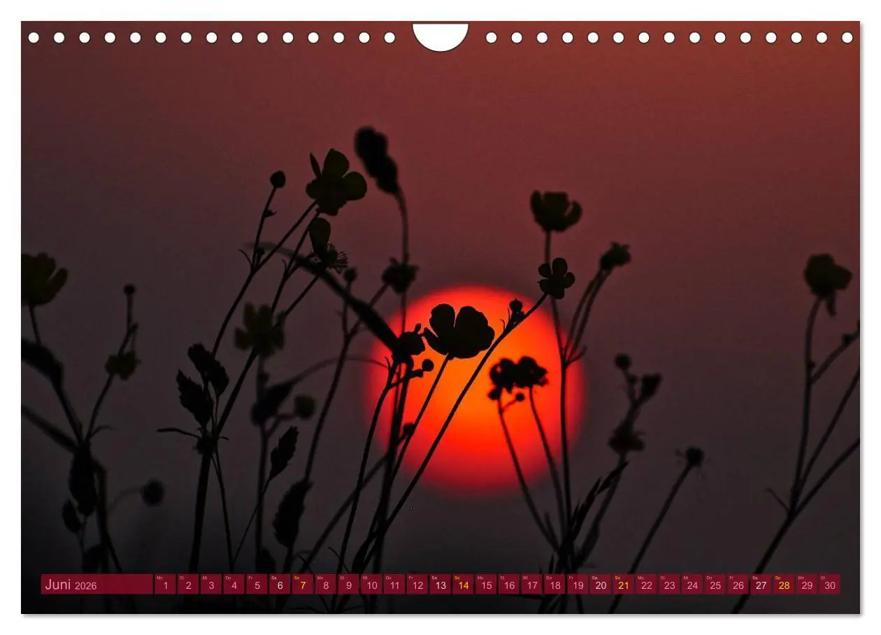 Bild: 9783516211979 | Die Sonne - 2026 (Wandkalender 2026 DIN A4 quer), CALVENDO...