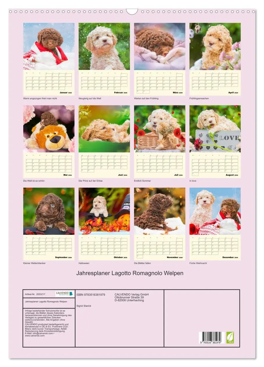 Bild: 9783516381979 | Jahresplaner Lagotto Romagnolo Welpen (Wandkalender 2026 DIN A2...