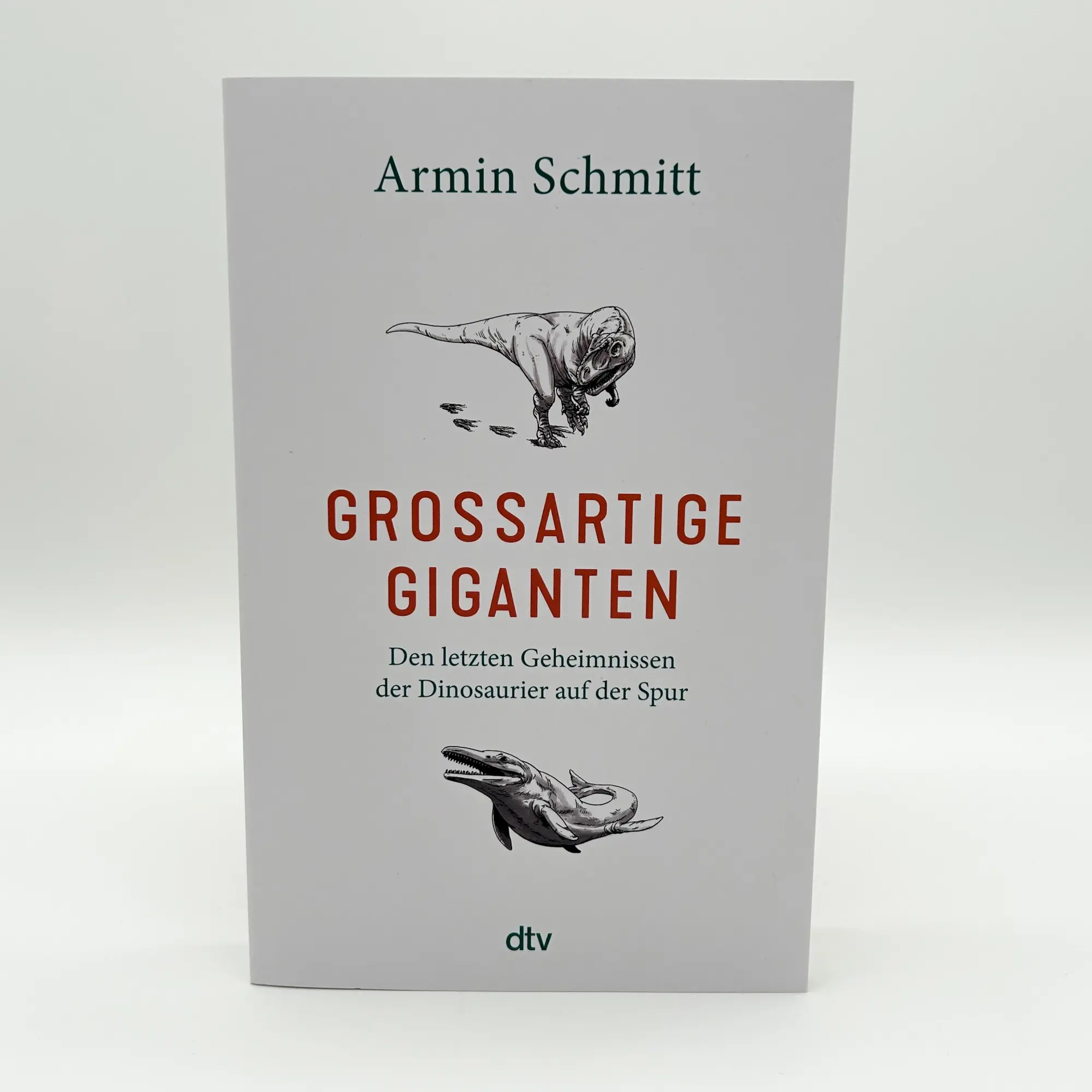 Bild: 9783423352079 | Großartige Giganten | Armin Schmitt | Taschenbuch | 352 S. | Deutsch