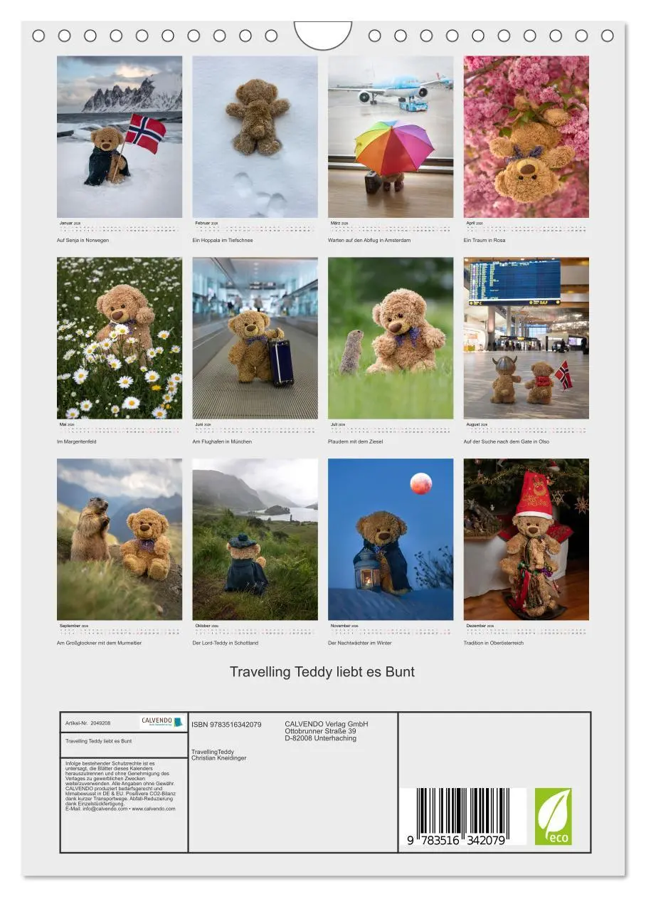 Bild: 9783516342079 | Travelling Teddy liebt es Bunt (Wandkalender 2026 DIN A4 hoch),...