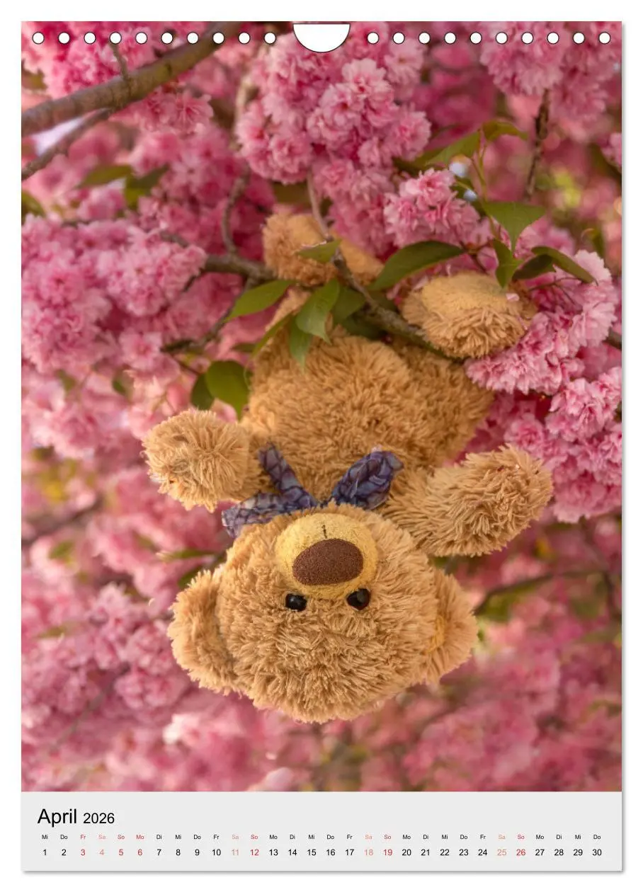 Bild: 9783516342079 | Travelling Teddy liebt es Bunt (Wandkalender 2026 DIN A4 hoch),...