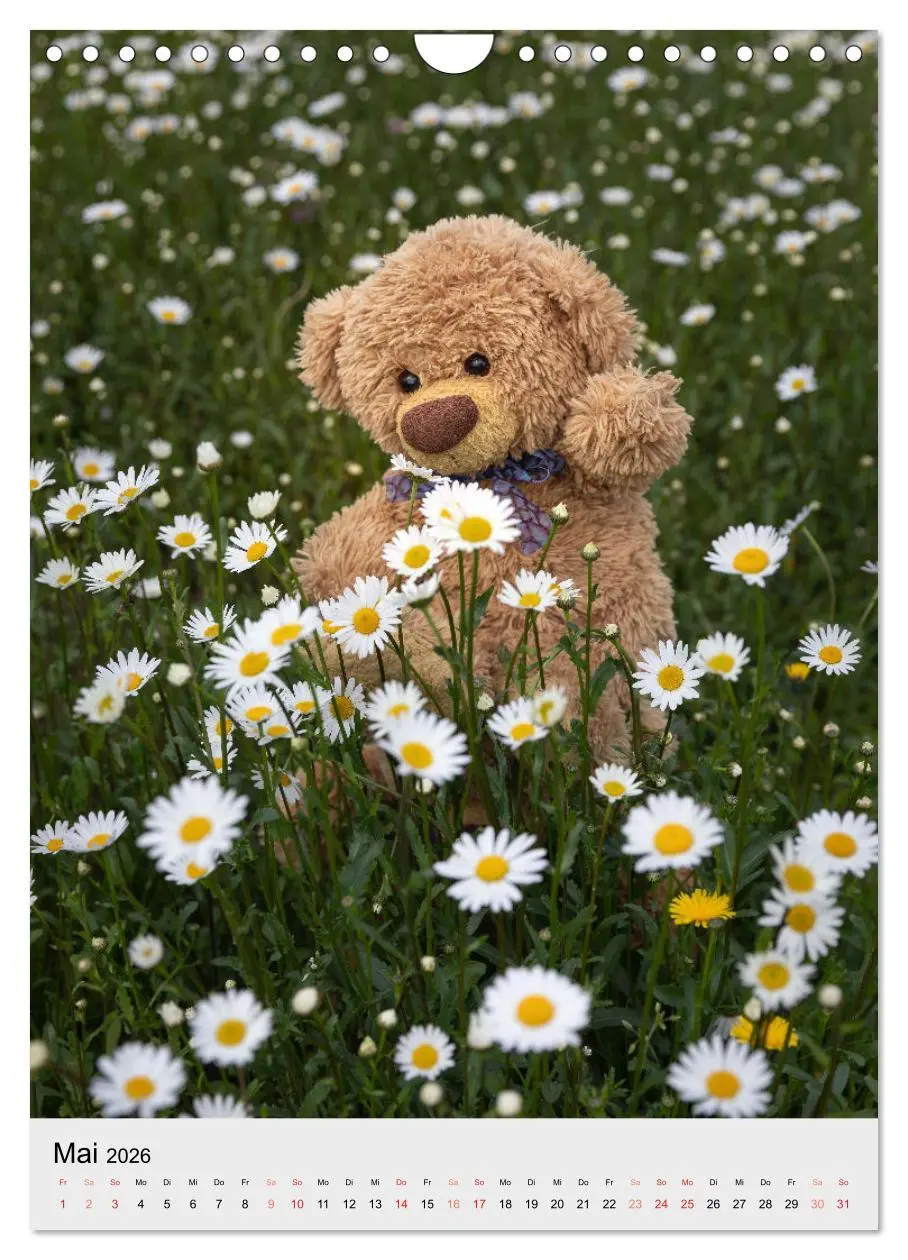 Bild: 9783516342079 | Travelling Teddy liebt es Bunt (Wandkalender 2026 DIN A4 hoch),...