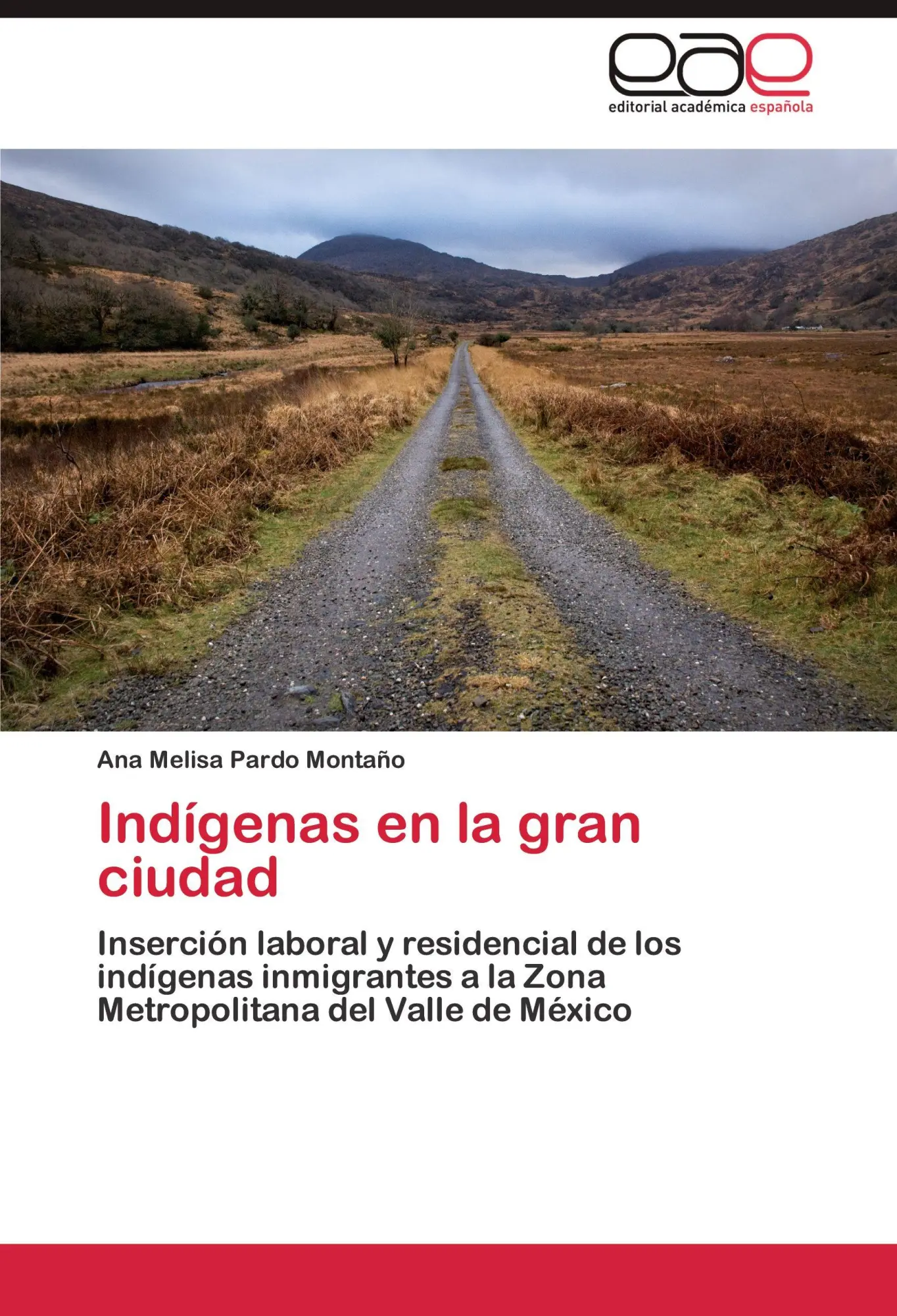 Cover: 9783844342079 | Indígenas en la gran ciudad | Ana Melisa Pardo Montaño | Taschenbuch