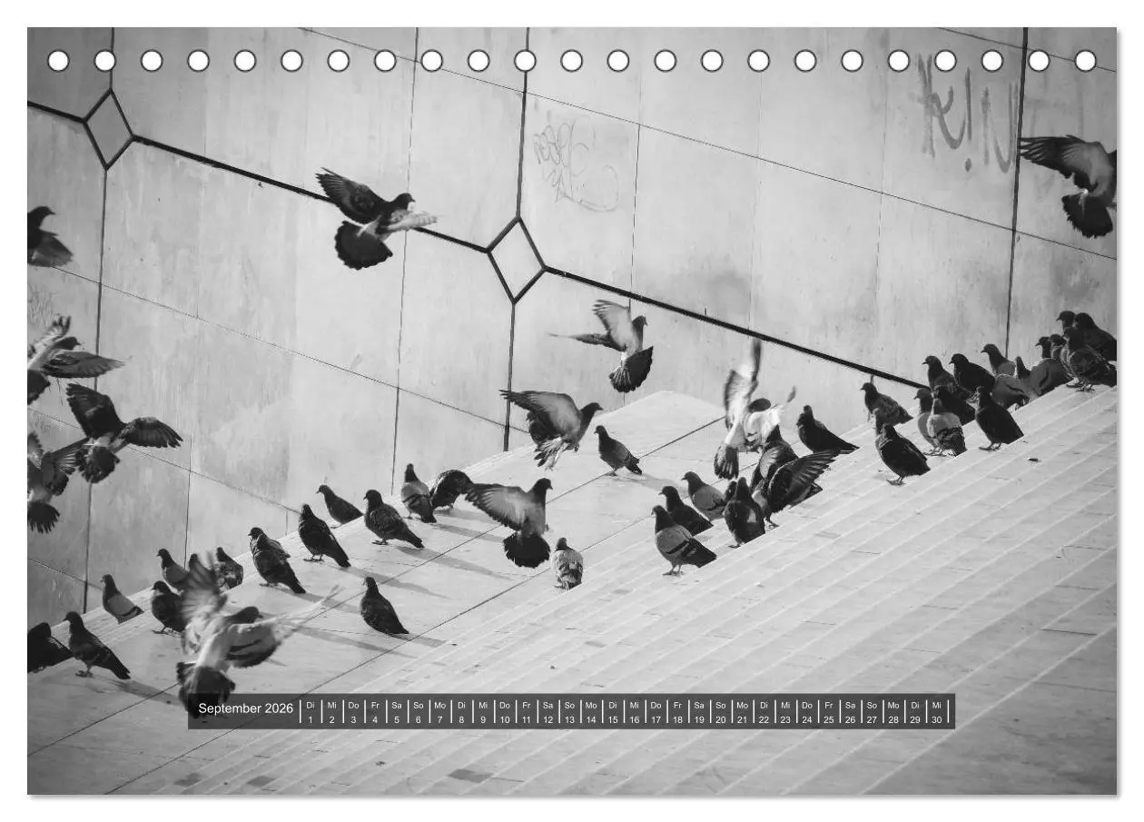 Bild: 9783516022179 | Paris - in schwarz und weiss (Tischkalender 2026 DIN A5 quer),...