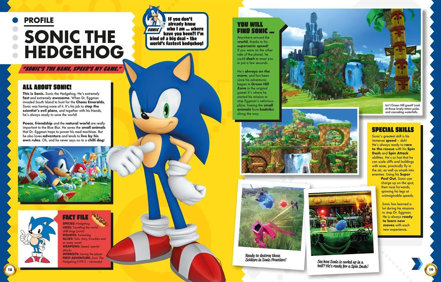 Bild: 9780008682279 | Sonic the Hedgehog The Essential Guide | Farshore (u. a.) | Buch