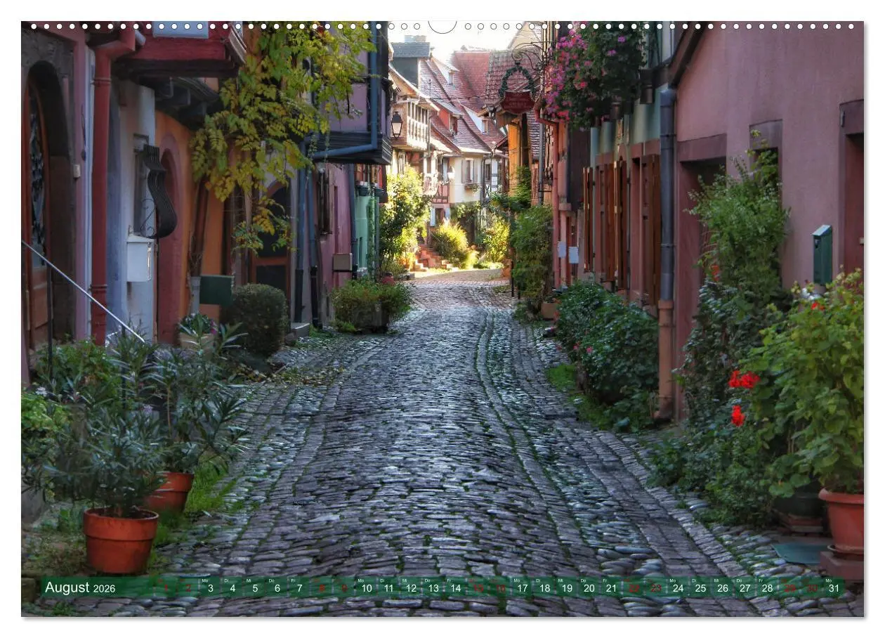Bild: 9783457542279 | Das Elsass (Wandkalender 2026 DIN A2 quer), CALVENDO Monatskalender