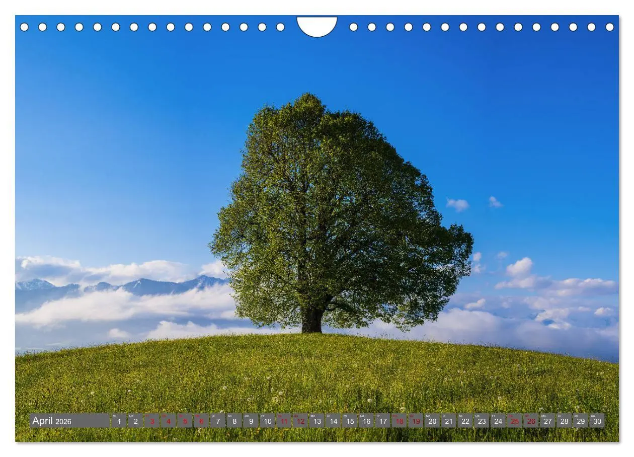 Bild: 9783457852279 | Schöne Wanderungen um Oberstdorf (Wandkalender 2026 DIN A4 quer),...