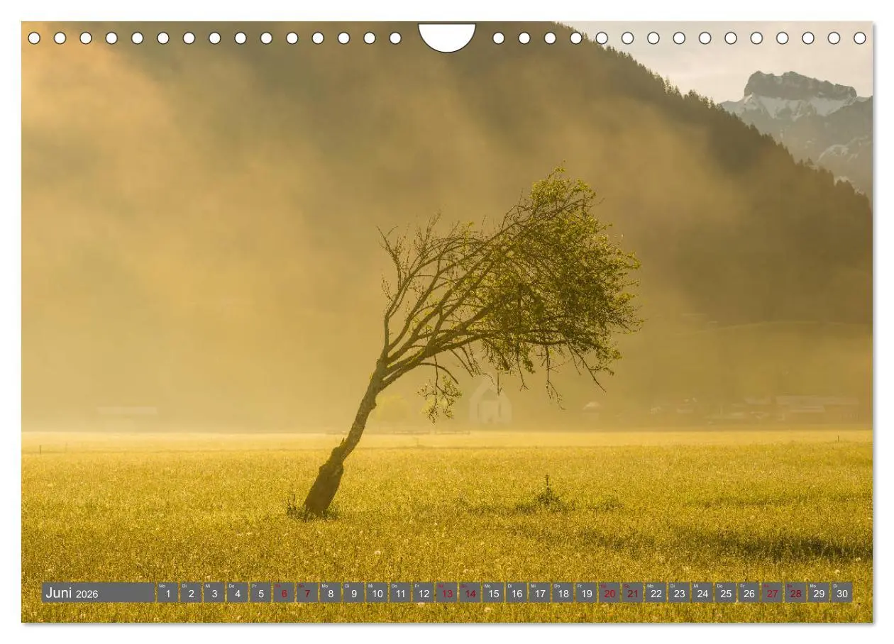 Bild: 9783457852279 | Schöne Wanderungen um Oberstdorf (Wandkalender 2026 DIN A4 quer),...