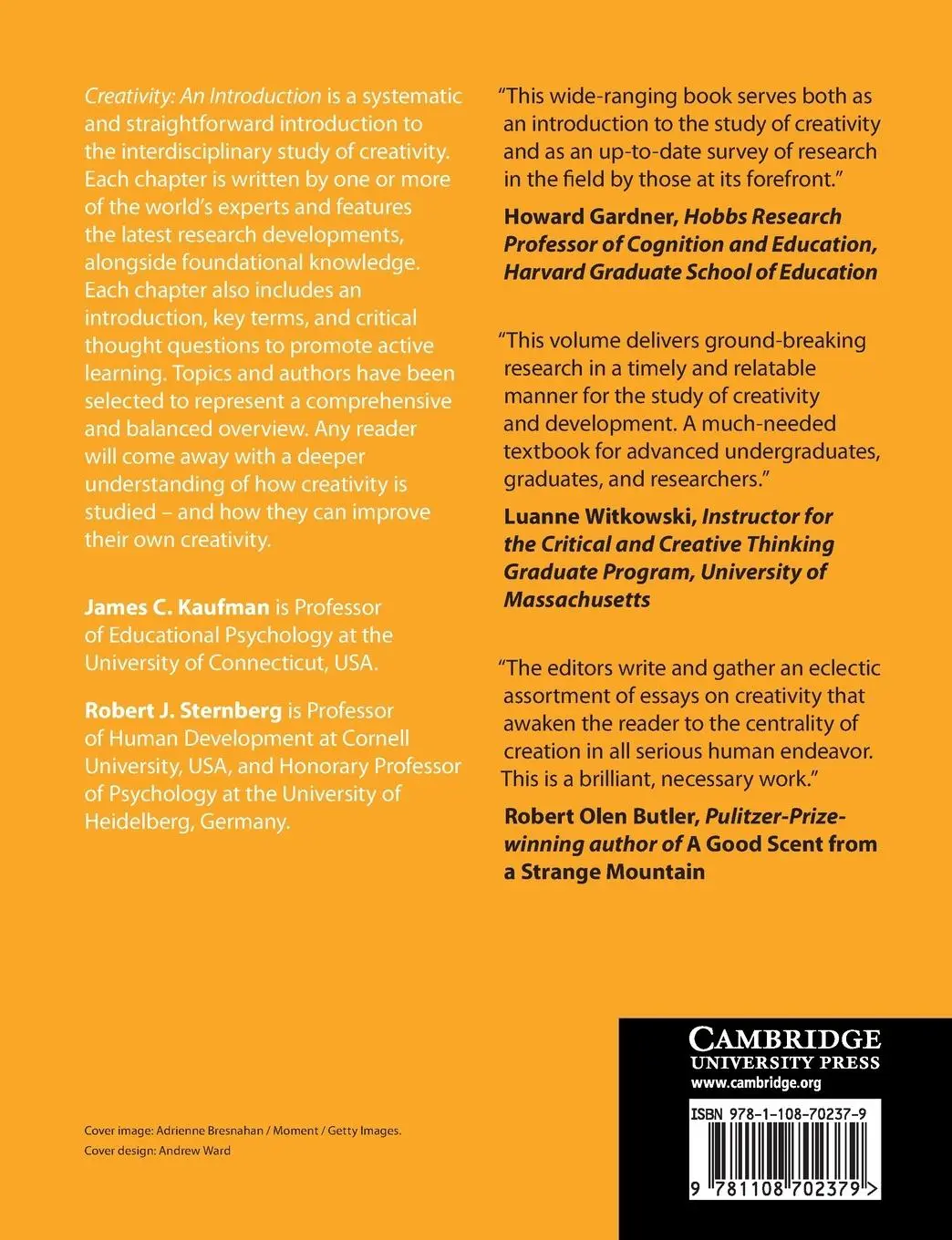 Rückseite: 9781108702379 | Creativity | James C. Kaufman (u. a.) | Taschenbuch | Englisch | 2021
