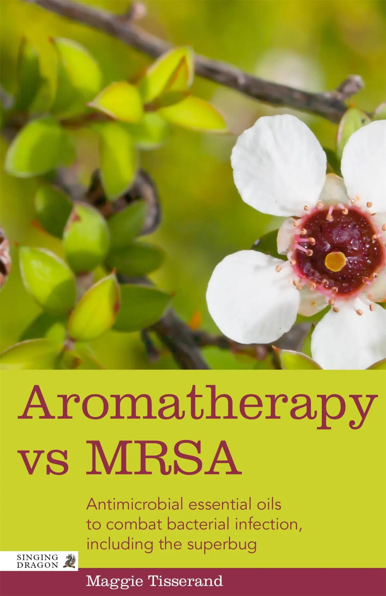 Cover: 9781848192379 | Aromatherapy Vs Mrsa | Maggie Tisserand | Taschenbuch | Englisch