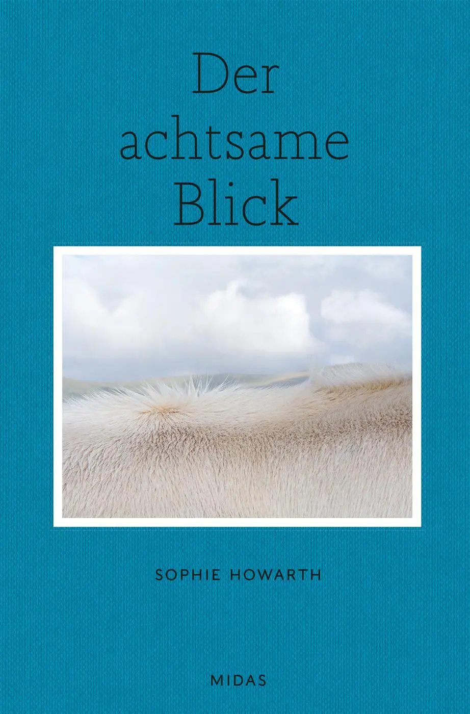Cover: 9783038762379 | Der achtsame Blick | Kreativ Fotografieren mit Inspiration | Howarth