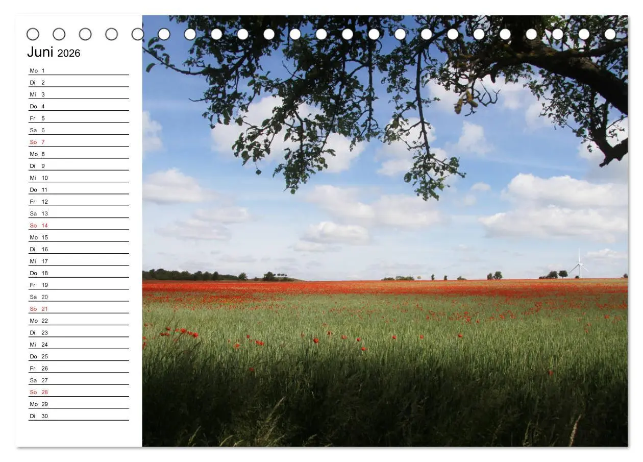 Bild: 9783516002379 | Hannover erleben (Tischkalender 2026 DIN A5 quer), CALVENDO...