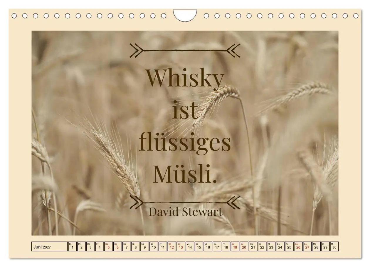 Bild: 9783569572379 | Whisky-Weisheiten (Wandkalender 2027 DIN A4 quer), CALVENDO...