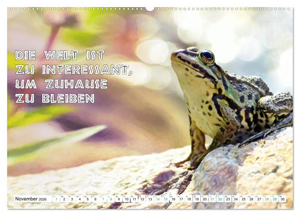 Bild: 9783457382479 | Frosch quakt Sprüche (hochwertiger Premium Wandkalender 2026 DIN A2...