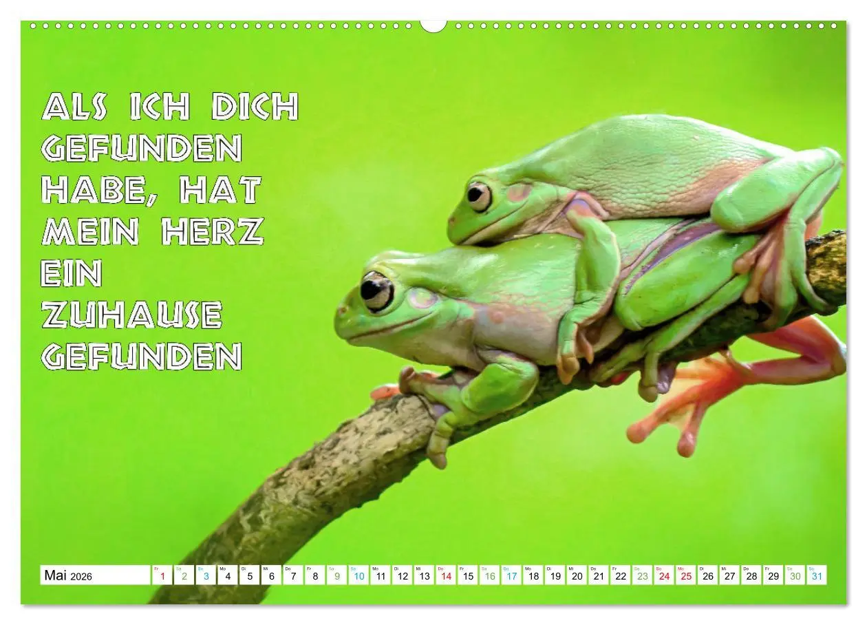 Bild: 9783457382479 | Frosch quakt Sprüche (hochwertiger Premium Wandkalender 2026 DIN A2...