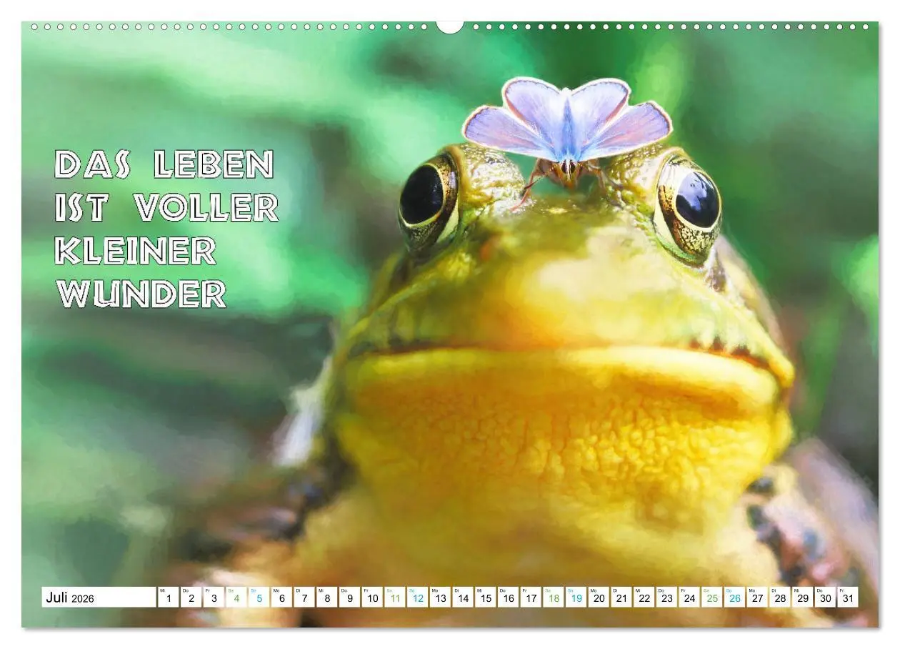 Bild: 9783457382479 | Frosch quakt Sprüche (hochwertiger Premium Wandkalender 2026 DIN A2...