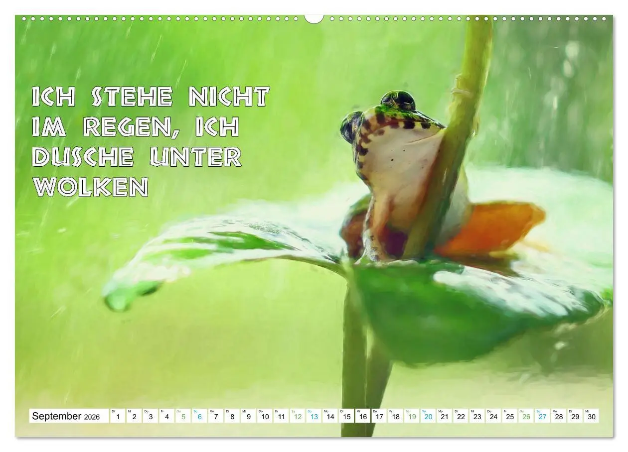 Bild: 9783457382479 | Frosch quakt Sprüche (hochwertiger Premium Wandkalender 2026 DIN A2...